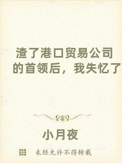 渣了港口貿(mào)易公司的首領后，我失憶了