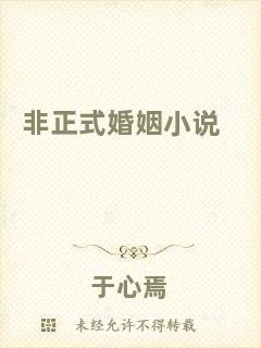 非正式婚姻小說(shuō)
