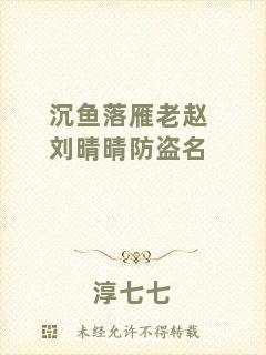 沉魚(yú)落雁老趙劉晴晴防盜名