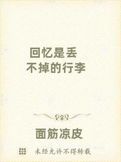 回憶是丟不掉的行李